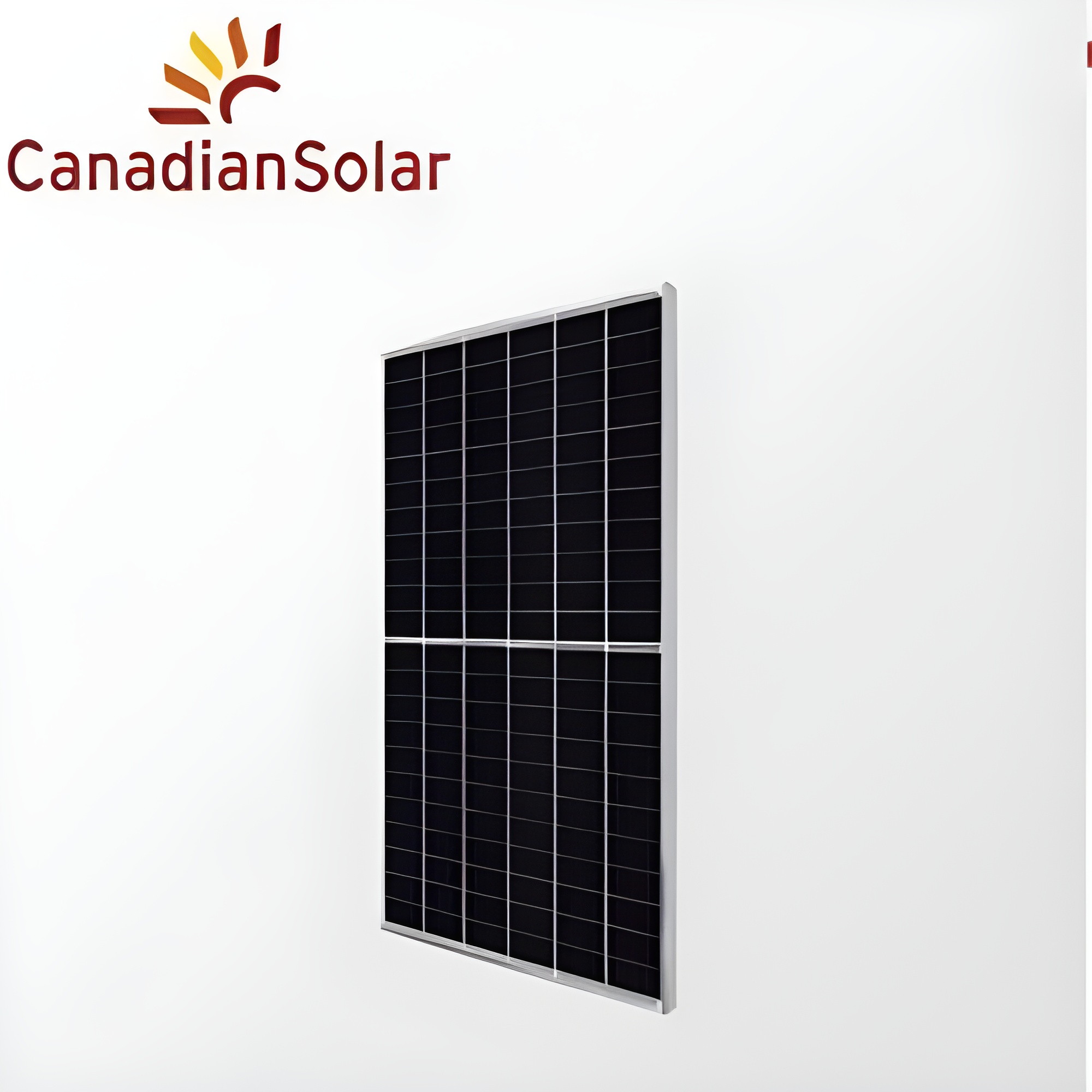 Panneau Solaire CANADIAN 710W Bifacial